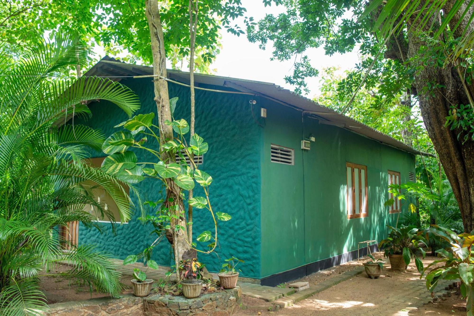 Silent Bungalow Uda Walawe Extérieur photo