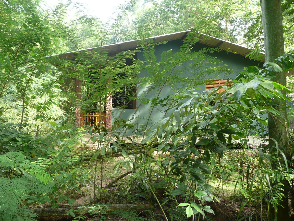 Silent Bungalow Uda Walawe Extérieur photo