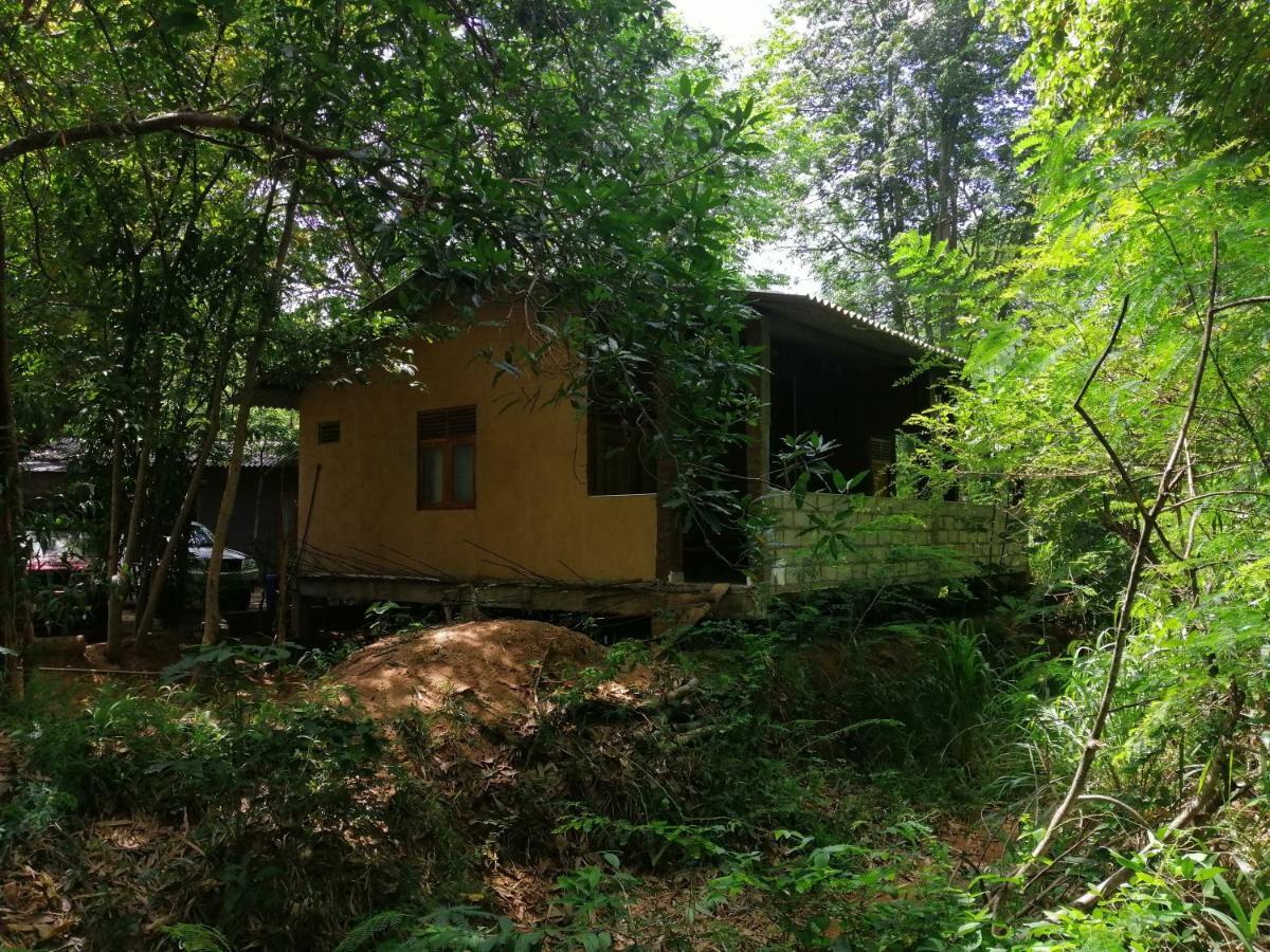 Silent Bungalow Uda Walawe Extérieur photo